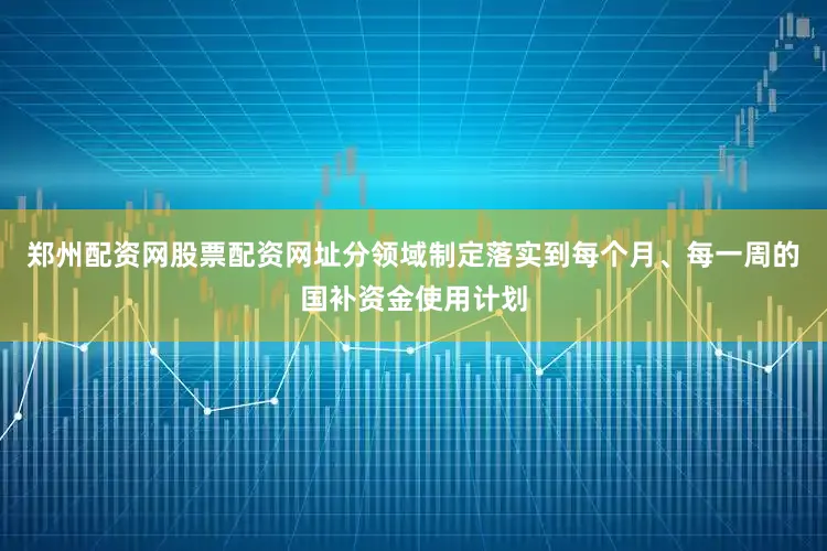 郑州配资网股票配资网址分领域制定落实到每个月、每一周的国补资金使用计划