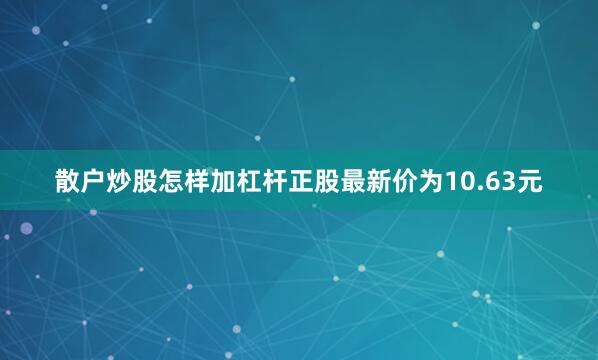 散户炒股怎样加杠杆正股最新价为10.63元