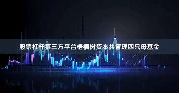 股票杠杆第三方平台梧桐树资本共管理四只母基金