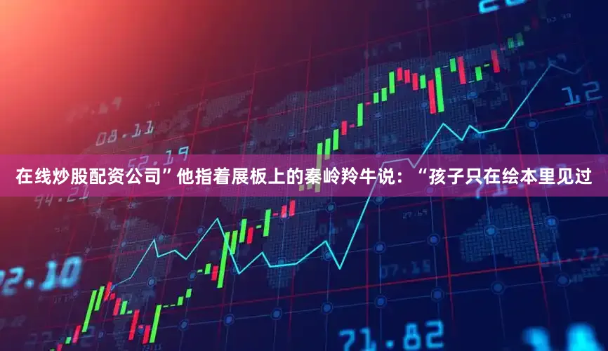 在线炒股配资公司”他指着展板上的秦岭羚牛说：“孩子只在绘本里见过