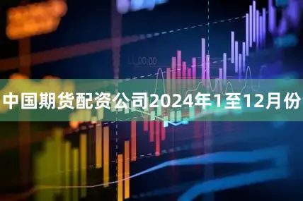 中国期货配资公司2024年1至12月份