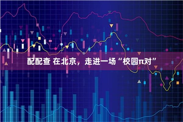 配配查 在北京，走进一场“校园π对”