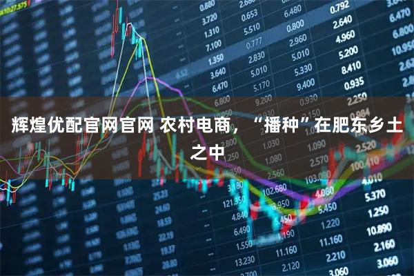辉煌优配官网官网 农村电商，“播种”在肥东乡土之中