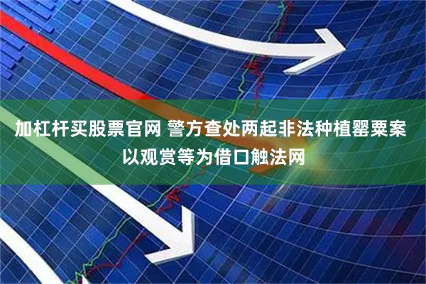 加杠杆买股票官网 警方查处两起非法种植罂粟案 以观赏等为借口触法网