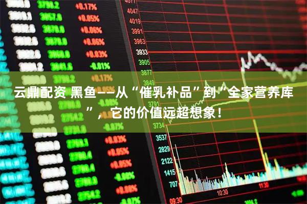 云鼎配资 黑鱼——从“催乳补品”到“全家营养库”，它的价值远超想象！